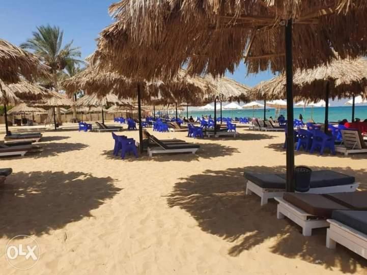 شاليه فرش فندقي بقرية بالميرا بيتش العين السخنه عين السخنة المظهر الخارجي الصورة
